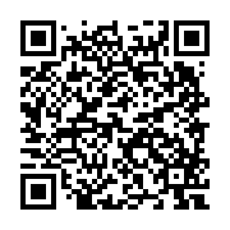 QR code for plate N8H 687