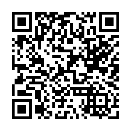 QR code for N8I 991