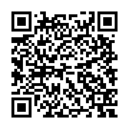 QR code for N8N 533