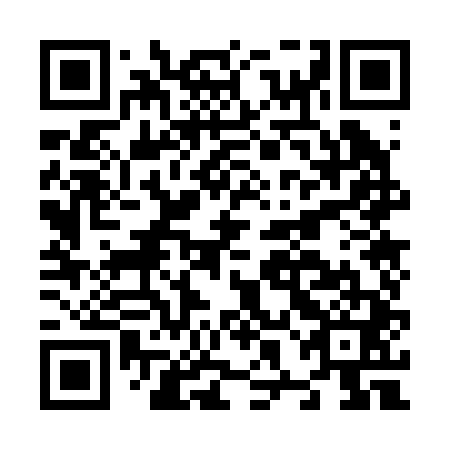 QR code for N8O 241