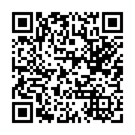 QR code for N8O 370