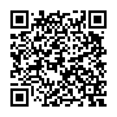 QR code for N8O 461