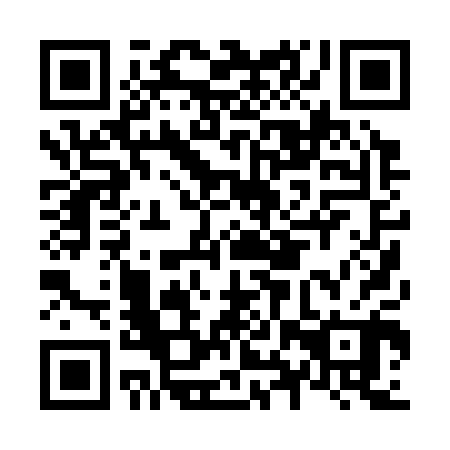 QR code for N8P 300