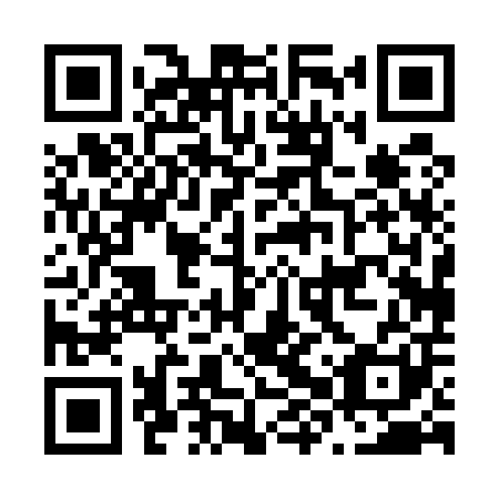 QR code for N8P 501