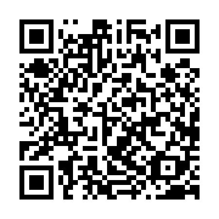 QR code for N8P 509