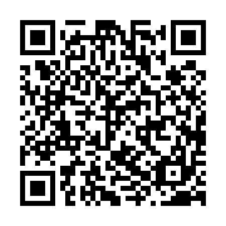 QR code for N8P 517