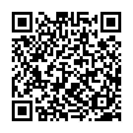 QR code for N8P 523