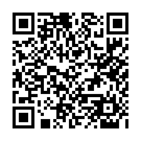 QR code for N8P 696