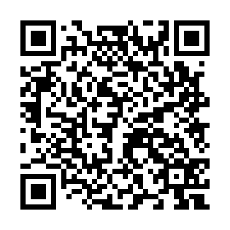QR code for N8P136