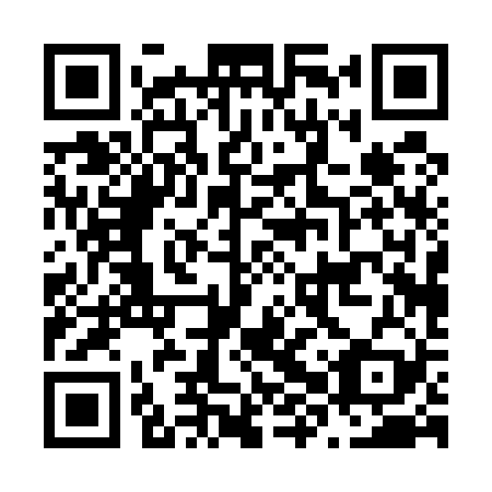 QR code for N8P529
