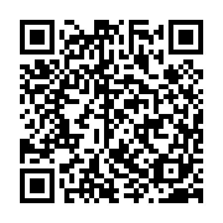 QR code for N8Q 061