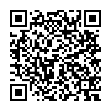 QR code for N8S 519