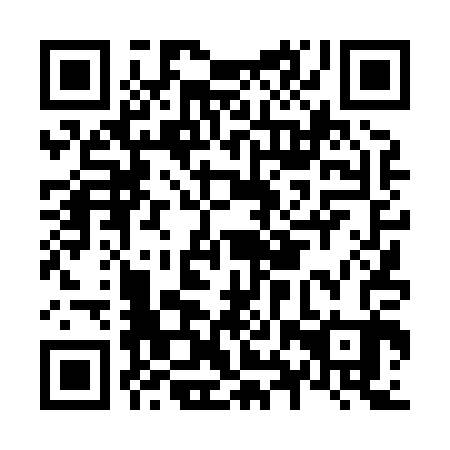 QR code for plate N8T 803