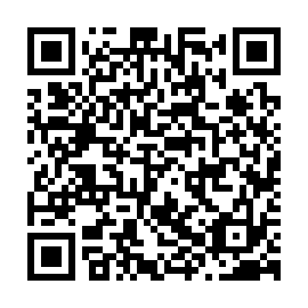 QR code for N8V 333