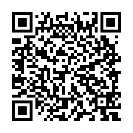 QR code for N8X398