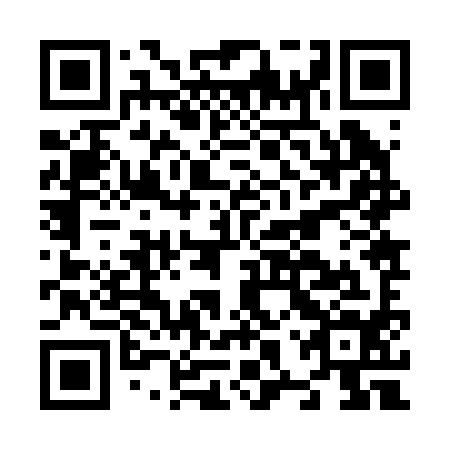 QR code for N8Z 294