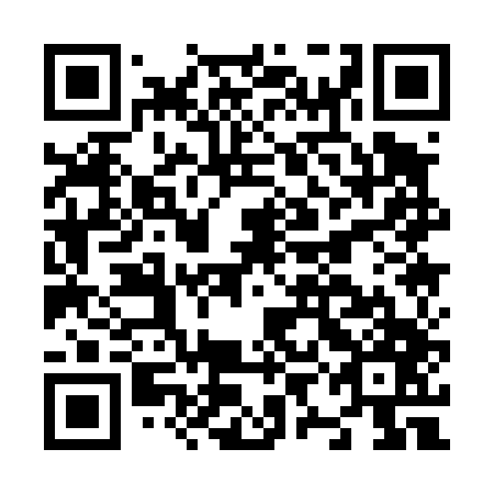 QR code for N9A 447