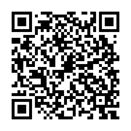 QR code for plate N9B 393