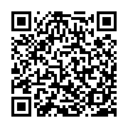 QR code for plate N9B 500