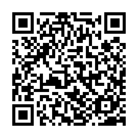 QR code for plate N9B 525