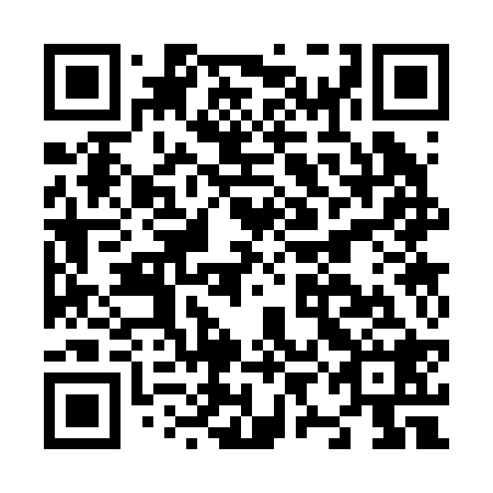 QR code for N9C 228