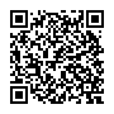 QR code for plate N9G 205