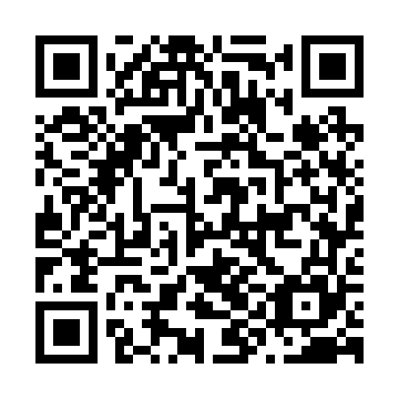 QR code for plate N9G 265