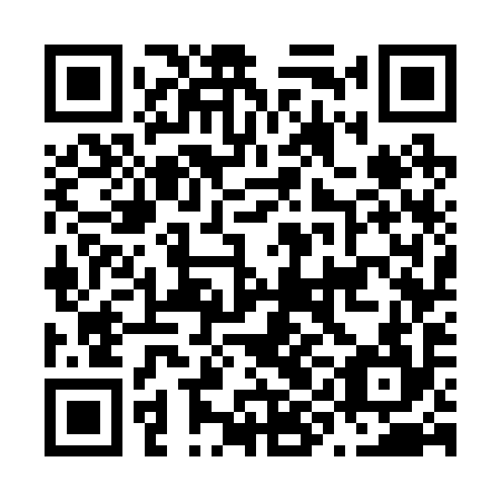 QR code for N9G294
