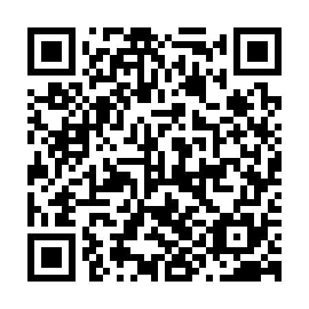 QR code for plate N9G 375