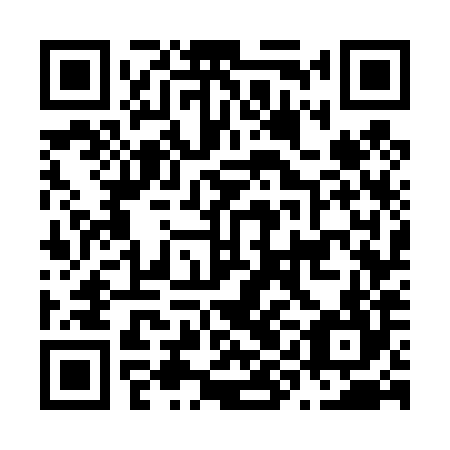 QR code for plate N9G 484