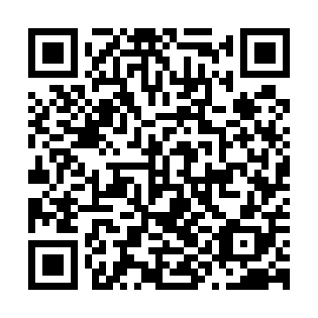QR code for plate N9G 508