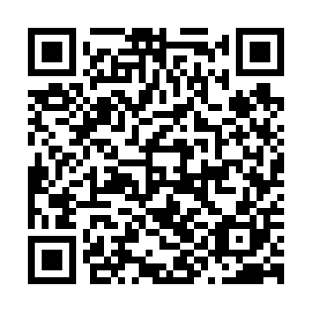 QR code for plate N9G 600