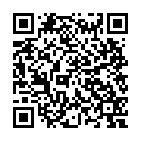 QR code for plate N9G 737