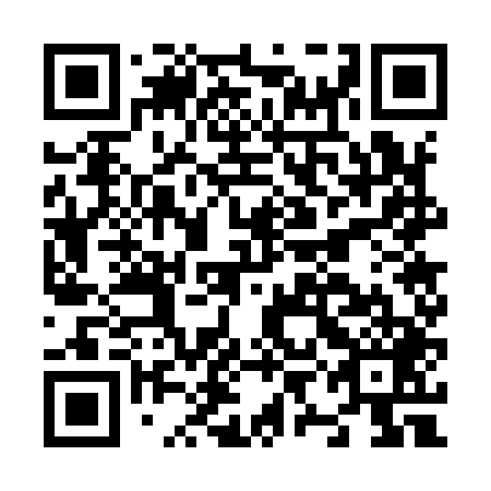 QR code for plate N9G 949