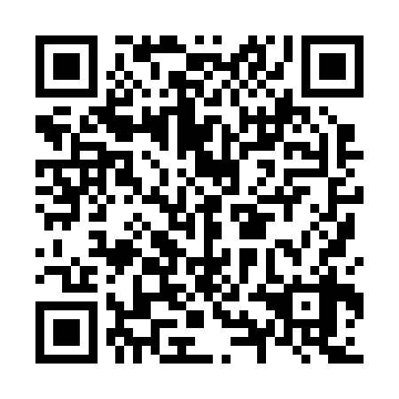 QR code for N9H238