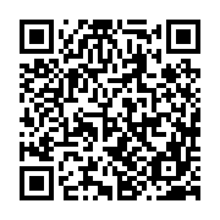 QR code for N9H256