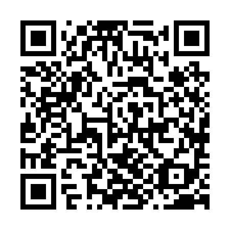 QR code for N9H299