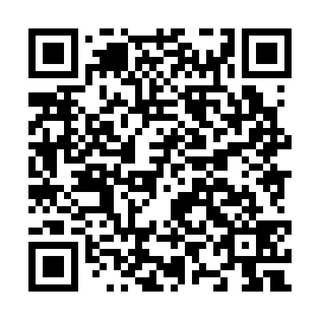 QR code for N9H339