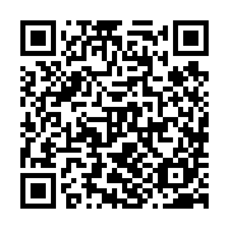QR code for plate N9H 685