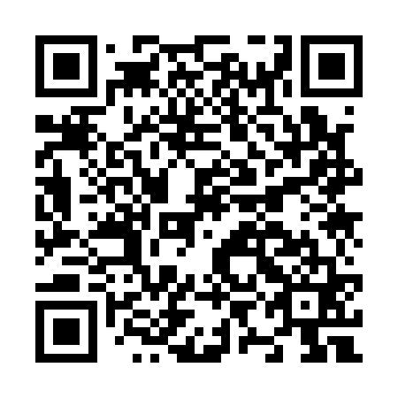 QR code for N9K 161