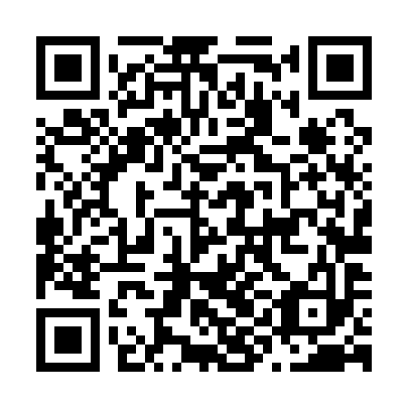 QR code for plate N9L 193