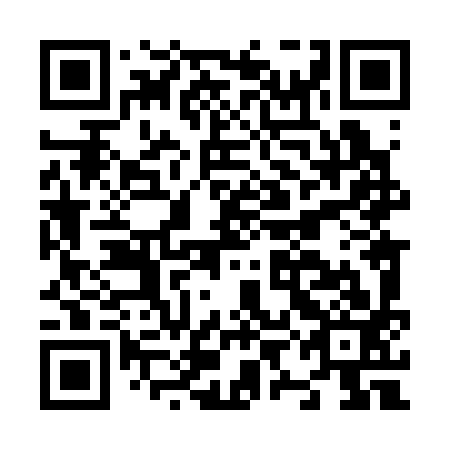 QR code for N9L393
