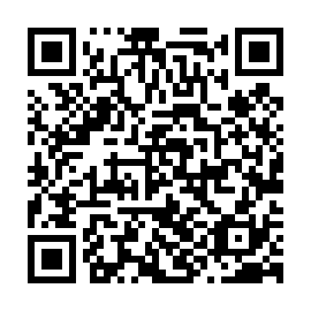 QR code for plate N9L 430
