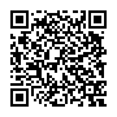 QR code for plate N9L 434
