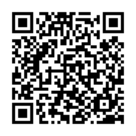 QR code for plate N9L 474