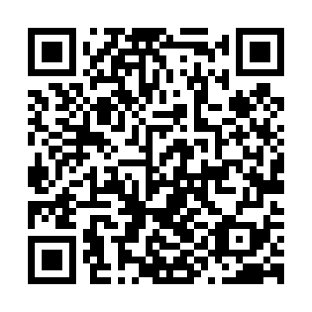 QR code for plate N9L 479