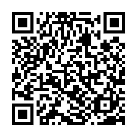 QR code for plate N9L 523