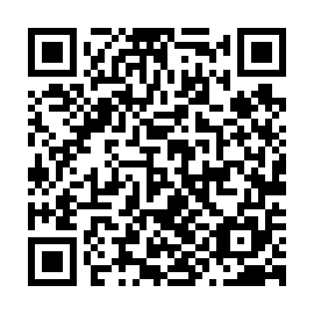 QR code for plate N9L 655