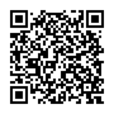 QR code for plate N9L 705