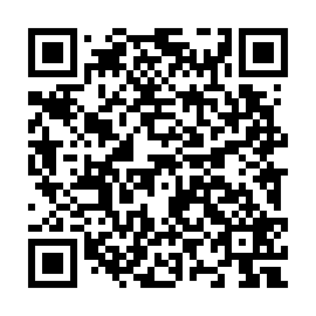 QR code for plate N9L 729